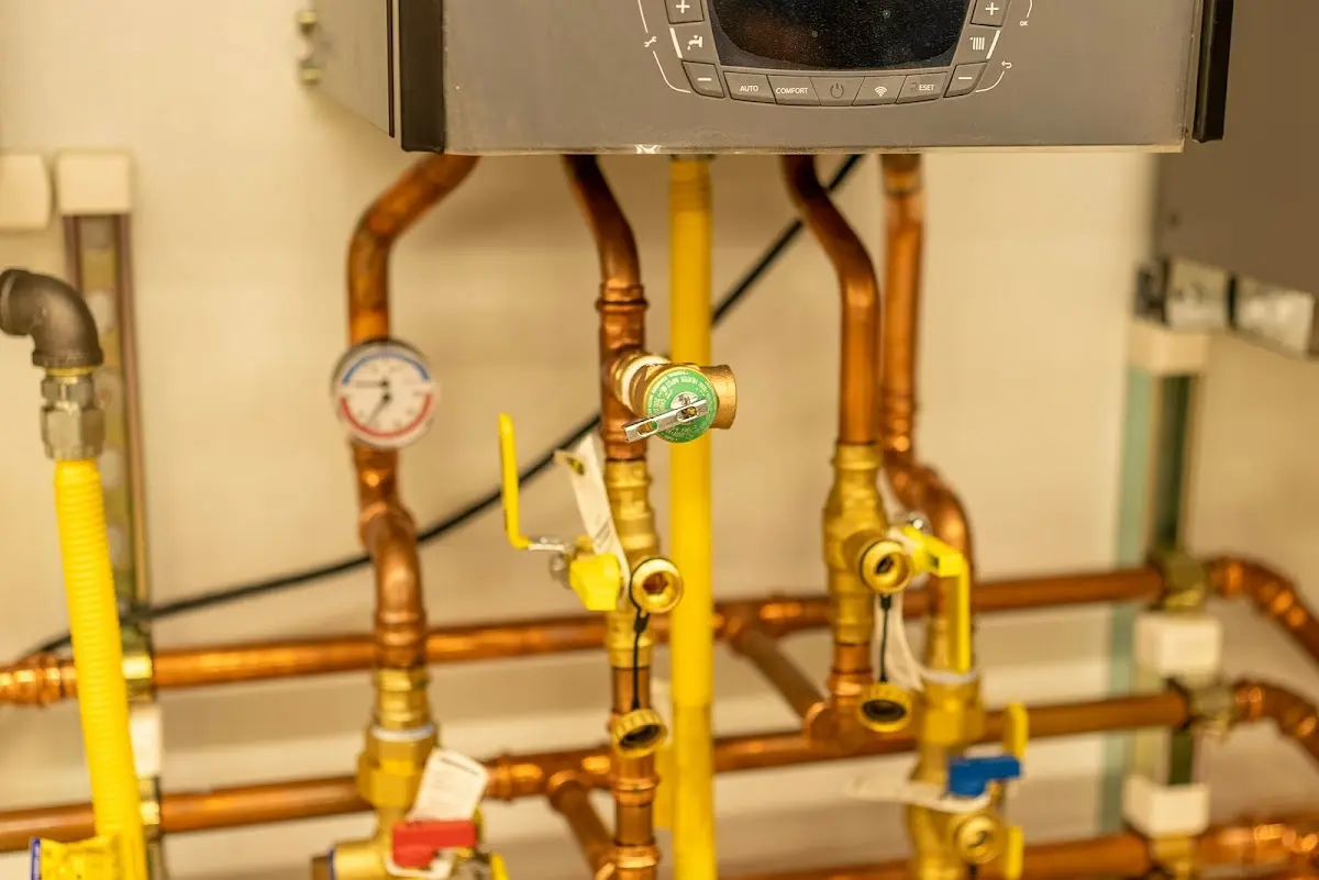 Licensed technician providing Water Heater Installation for a homeowner in Loch Lomond